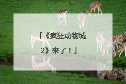 《疯狂动物城2》来了！