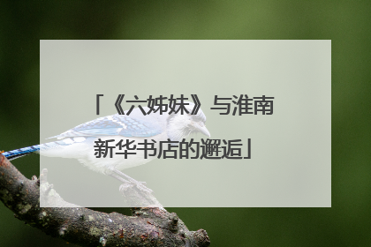 《六姊妹》与淮南新华书店的邂逅