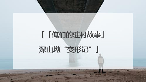 「俺们的驻村故事」深山坳“变形记”