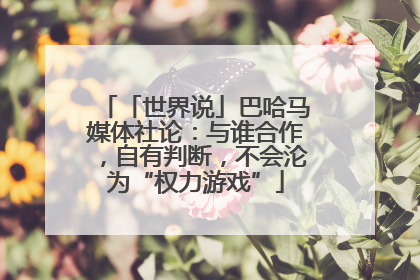 「世界说」巴哈马媒体社论：与谁合作，自有判断，不会沦为“权力游戏”
