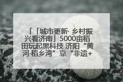 「城市更新· 乡村振兴看济南」5000亩稻田玩起黑科技 济阳“黄河·稻乡湾”靠“非遗+露营”火出圈