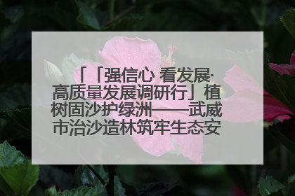 「强信心 看发展·高质量发展调研行」植树固沙护绿洲——武威市治沙造林筑牢生态安全屏障见闻