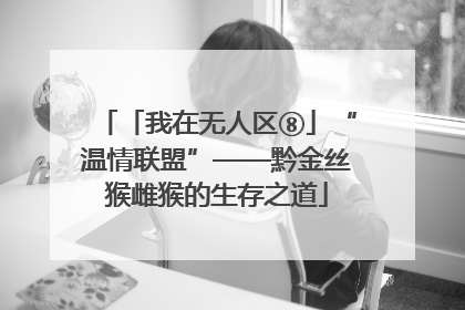 「我在无人区⑧」“温情联盟”——黔金丝猴雌猴的生存之道