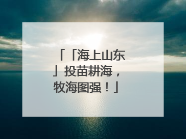 「海上山东」投苗耕海，牧海图强！