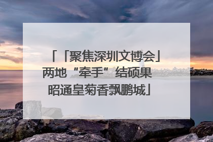 「聚焦深圳文博会」两地“牵手”结硕果 昭通皇菊香飘鹏城
