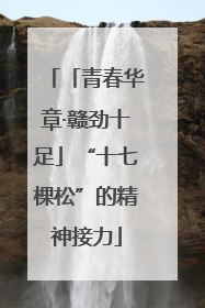 「青春华章·赣劲十足」“十七棵松”的精神接力