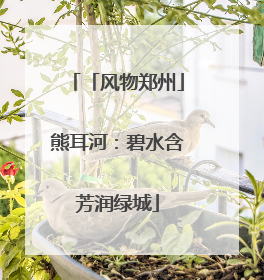 「风物郑州」熊耳河：碧水含芳润绿城