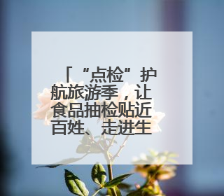 “点检”护航旅游季，让食品抽检贴近百姓、走进生活