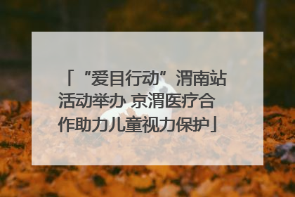“爱目行动”渭南站活动举办 京渭医疗合作助力儿童视力保护