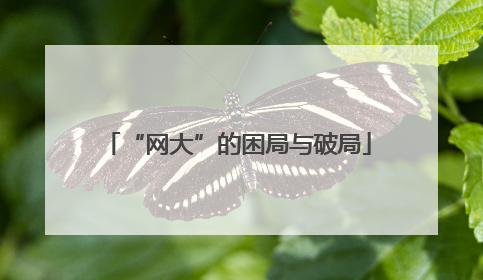 “网大”的困局与破局