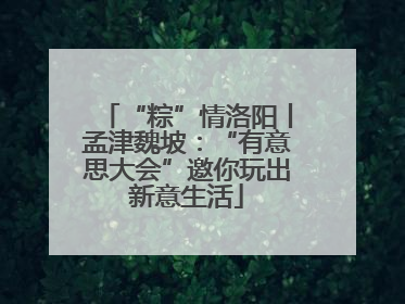 “粽”情洛阳丨孟津魏坡：“有意思大会”邀你玩出新意生活