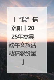 “粽”情洛阳丨2025年嵩县端午文旅活动精彩纷呈