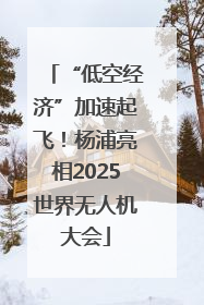 “低空经济”加速起飞！杨浦亮相2025世界无人机大会