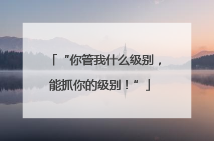“你管我什么级别，能抓你的级别！”