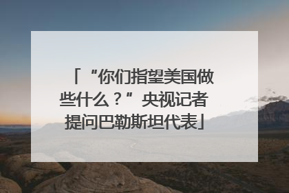 “你们指望美国做些什么？”央视记者提问巴勒斯坦代表