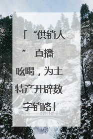 “供销人” 直播 吆喝，为土特产开辟数字销路