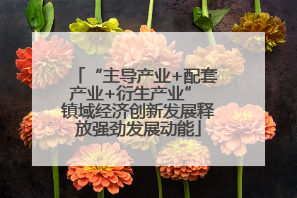 “主导产业+配套产业+衍生产业” 镇域经济创新发展释放强劲发展动能