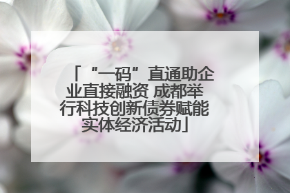 “一码”直通助企业直接融资 成都举行科技创新债券赋能实体经济活动
