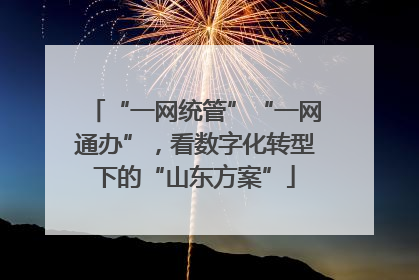 “一网统管”“一网通办”，看数字化转型下的“山东方案”