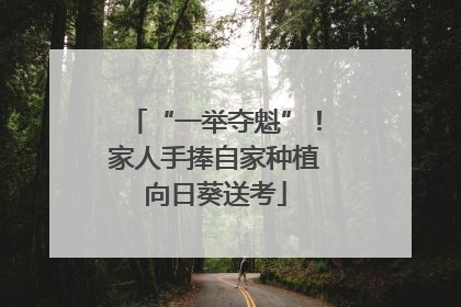 “一举夺魁”！家人手捧自家种植向日葵送考