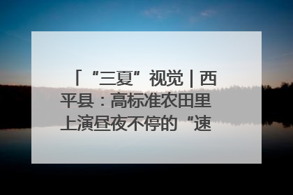 “三夏”视觉｜西平县：高标准农田里上演昼夜不停的“速度与激情”