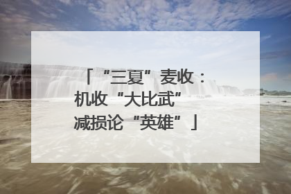 “三夏”麦收：机收“大比武” 减损论“英雄”