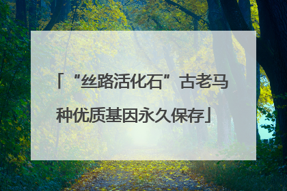 “丝路活化石”古老马种优质基因永久保存
