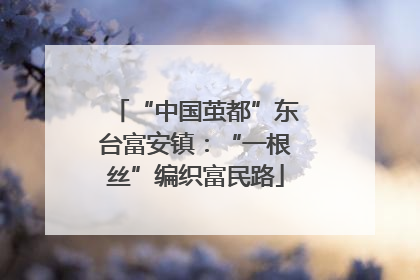 “中国茧都”东台富安镇：“一根丝”编织富民路