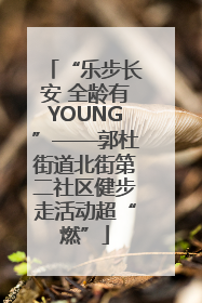 “乐步长安 全龄有YOUNG”——郭杜街道北街第二社区健步走活动超“燃”