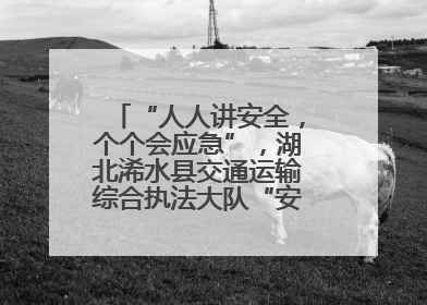 “人人讲安全，个个会应急”，湖北浠水县交通运输综合执法大队“安全生产月”主题活动取得成效