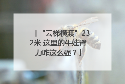 “云梯横渡”232米 这里的牛娃臂力咋这么强？