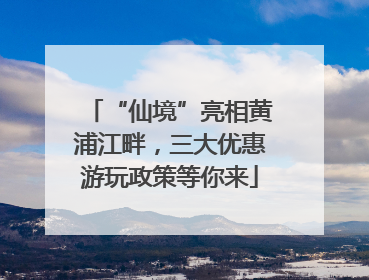 “仙境”亮相黄浦江畔，三大优惠游玩政策等你来