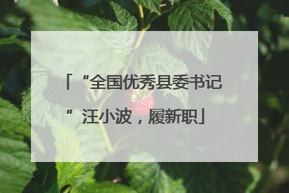 “全国优秀县委书记”汪小波，履新职