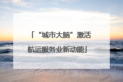 “城市大脑”激活航运服务业新动能