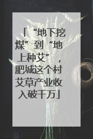 “地下挖煤”到“地上种艾”，肥城这个村艾草产业收入破千万