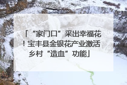 “家门口”采出幸福花！宝丰县金银花产业激活乡村“造血”功能
