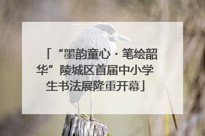 “墨韵童心・笔绘韶华”陵城区首届中小学生书法展隆重开幕