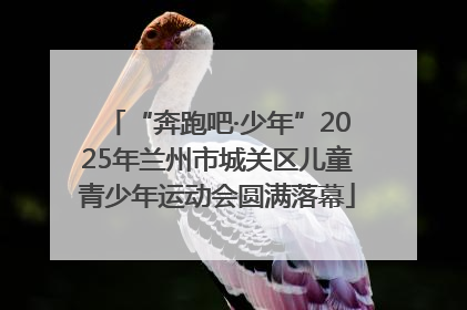 “奔跑吧·少年”2025年兰州市城关区儿童青少年运动会圆满落幕