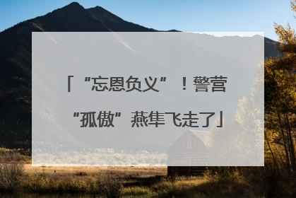 “忘恩负义”！警营“孤傲”燕隼飞走了