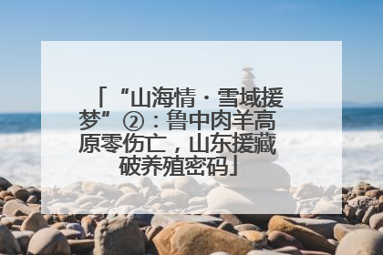 “山海情・雪域援梦”②：鲁中肉羊高原零伤亡，山东援藏破养殖密码