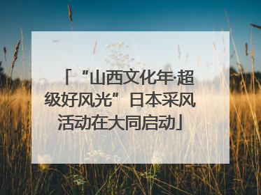 “山西文化年·超级好风光”日本采风活动在大同启动