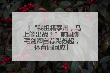 “我祖籍泰州，马上能出战！”前国脚毛剑卿自荐踢苏超，体育局回应