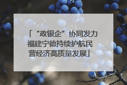 “政银企”协同发力 福建宁德持续护航民营经济高质量发展