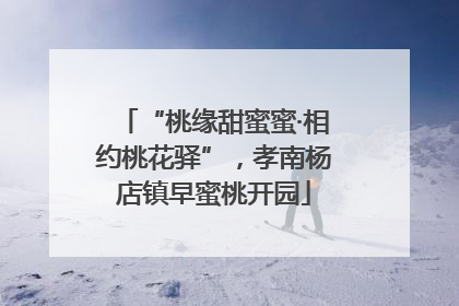 “桃缘甜蜜蜜·相约桃花驿”，孝南杨店镇早蜜桃开园