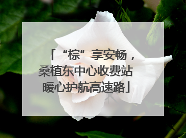 “棕”享安畅，桑植东中心收费站暖心护航高速路