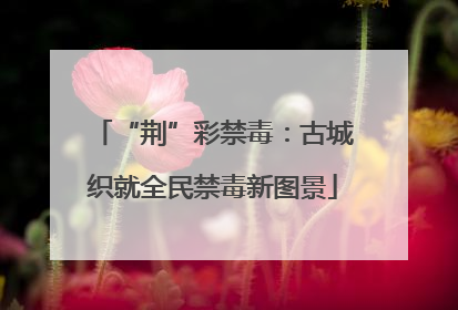 “荆”彩禁毒：古城织就全民禁毒新图景