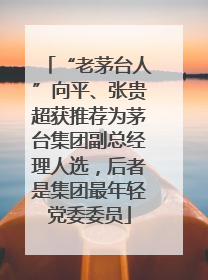 “老茅台人”向平、张贵超获推荐为茅台集团副总经理人选，后者是集团最年轻党委委员