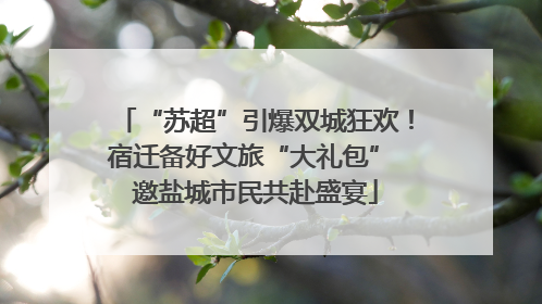 “苏超”引爆双城狂欢！宿迁备好文旅“大礼包” 邀盐城市民共赴盛宴