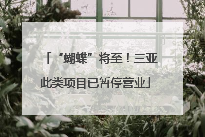 “蝴蝶”将至！三亚此类项目已暂停营业