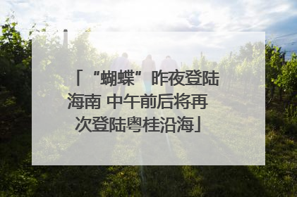 “蝴蝶”昨夜登陆海南 中午前后将再次登陆粤桂沿海